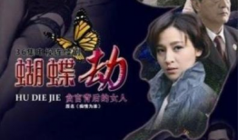 电视剧蝴蝶,穿越时空的爱恋